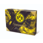 Topps - Borussia Dortmund Vernissage 23/24